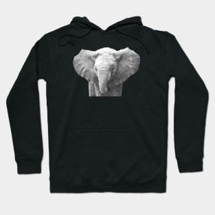 Black and White Baby Elephant Hoodie